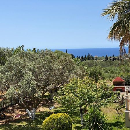 Lemon Tree Apartments A D Argostoli  Zewnętrze zdjęcie