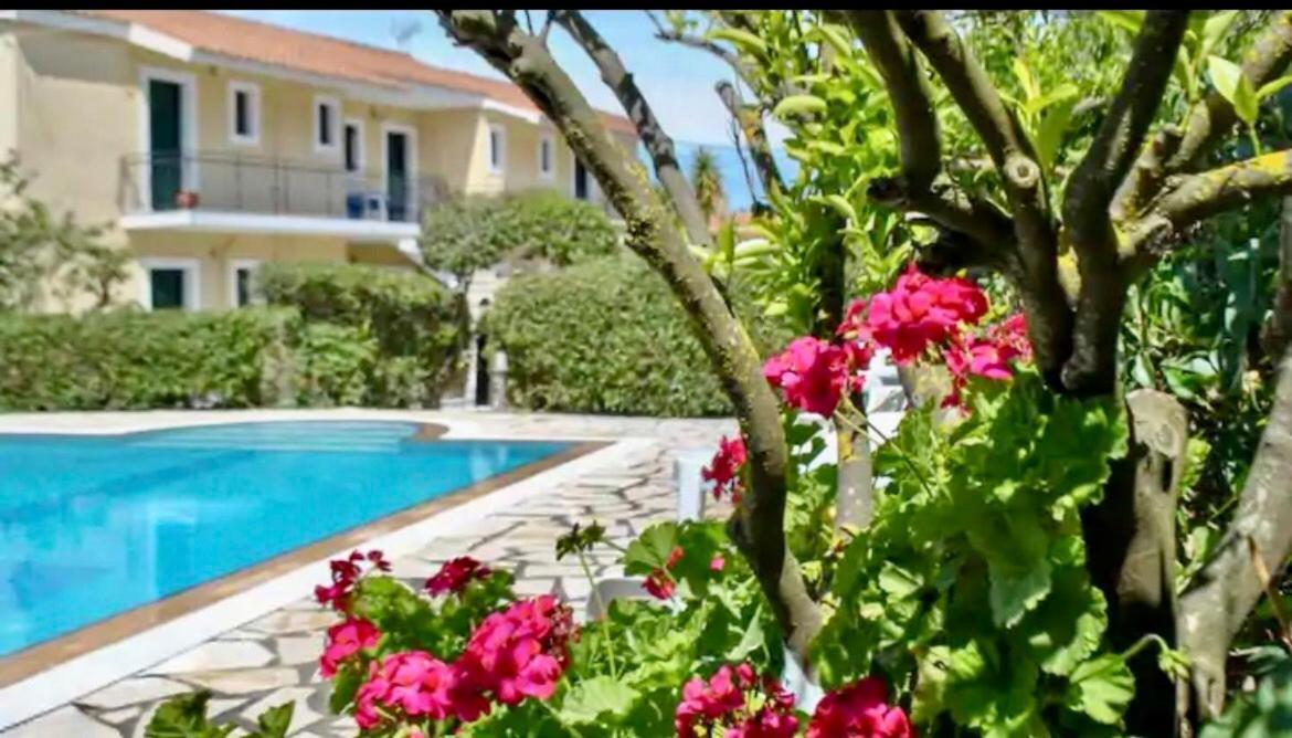 Lemon Tree Apartments A D Argostoli  Zewnętrze zdjęcie