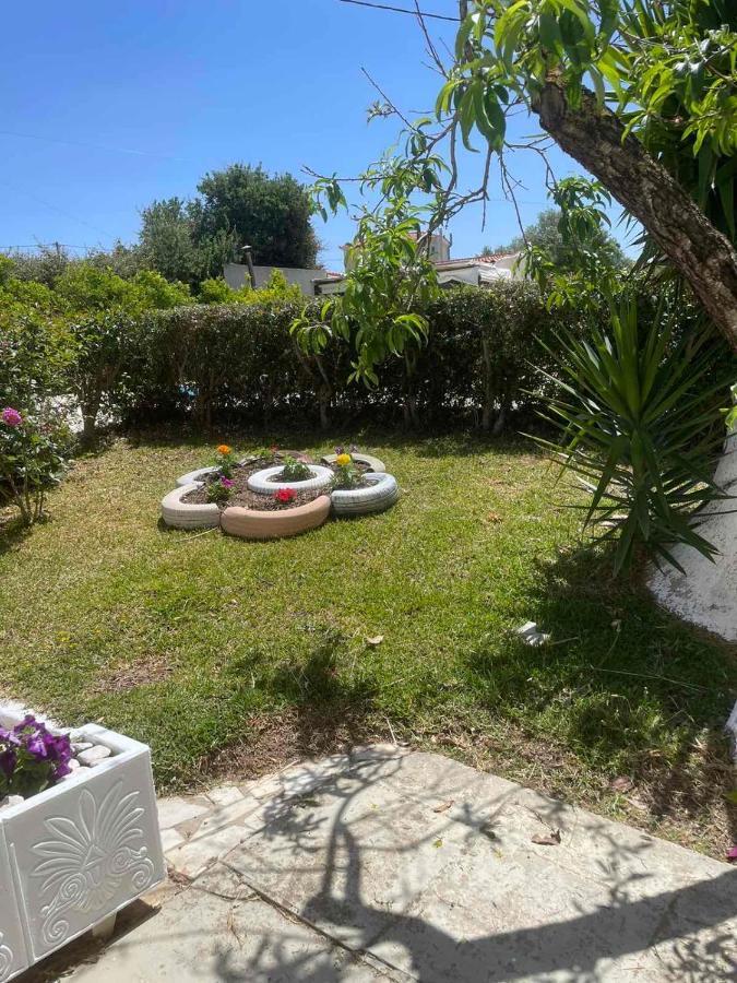 Lemon Tree Apartments A D Argostoli  Zewnętrze zdjęcie